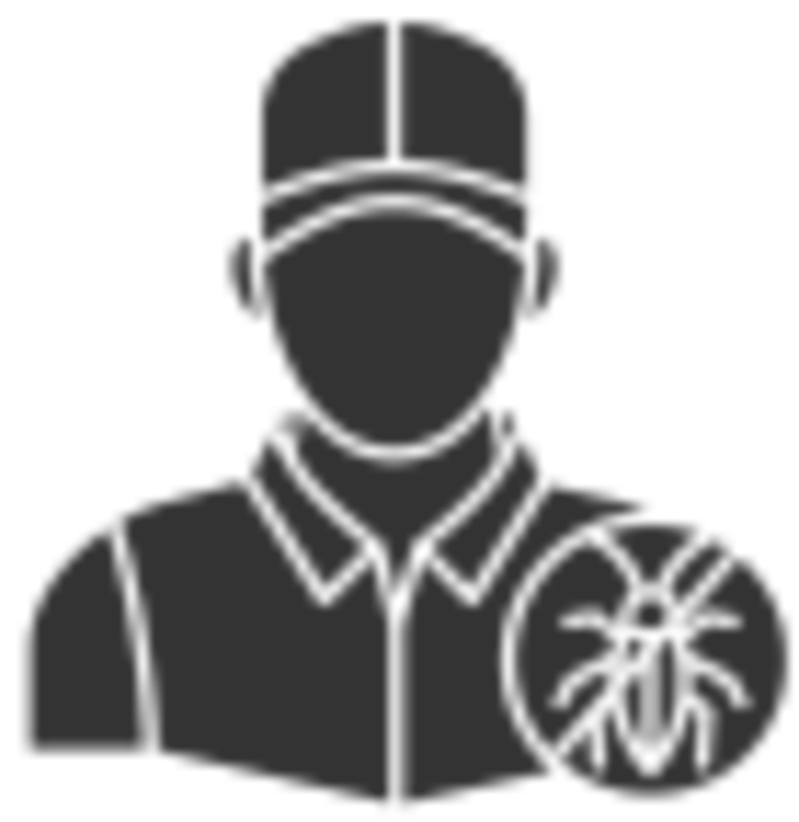 Cary Termite Removal Experts